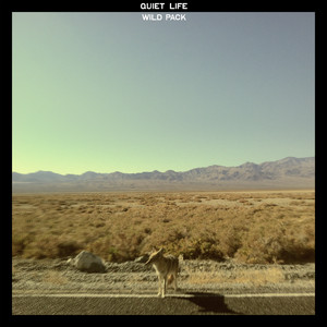 Losin' All My Common Sense - Quiet Life | Song Album Cover Artwork