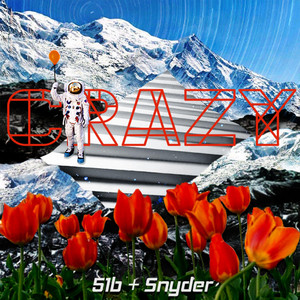 Crazy - Snyder | Song Album Cover Artwork
