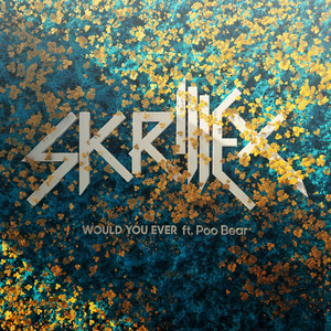 Would You Ever - Skrillex | Song Album Cover Artwork