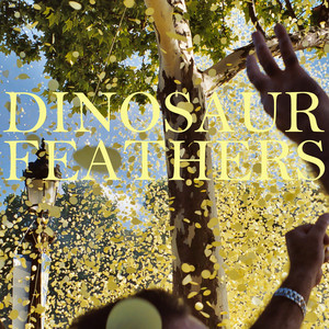 Young Bucks - Dinosaur Feathers | Song Album Cover Artwork