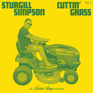 I Don't Mind - Sturgill Simpson | Song Album Cover Artwork