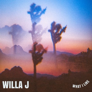 What I Like - Willa J | Song Album Cover Artwork