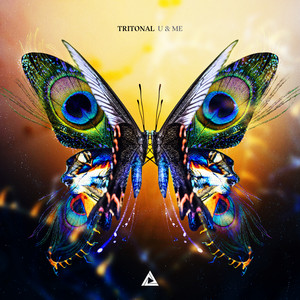 Show U Love - Tritonal | Song Album Cover Artwork