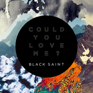 Could You Love Me? - Black Saint