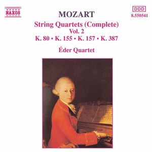 String Quartet No. 2 in D Major, K. 155: III. Molto allegro - Eder Quartet
