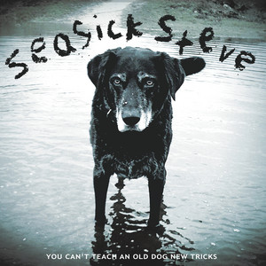 Don't Know Why She Love Me But She Do - Seasick Steve