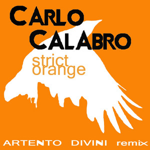 Strict Orange - Carlo Calabro | Song Album Cover Artwork