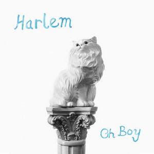 Swervin Harlem | Album Cover