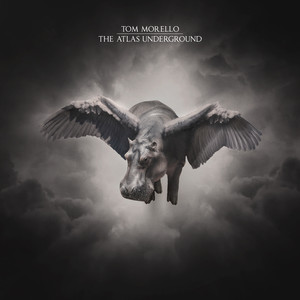 Where It’s At Ain’t What It Is (feat. Gary Clark Jr. and Nico Stadi) - Tom Morello | Song Album Cover Artwork