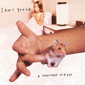 Sunday - Sonic Youth | Song Album Cover Artwork