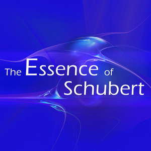 Winterreise, D. 911: No. 19 Täuschung - Franz Schubert | Song Album Cover Artwork