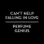 Can't Help Falling In Love - Perfume Genius