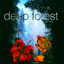 While the Earth Sleeps - Long Version - Deep Forest
