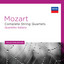 String Quartet No. 7 in E flat, K.160: 1. Allegro - Wolfgang Amadeus Mozart