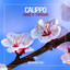 New Direction - Original Mix - Calippo
