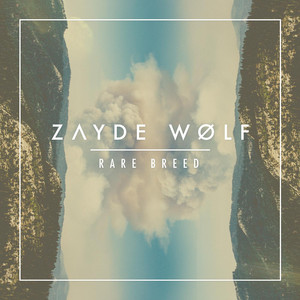 Wildest Ones Zayde Wølf | Album Cover