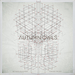 Spider - Autumn Owls | Song Album Cover Artwork