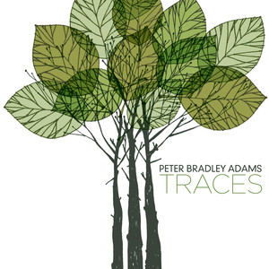 From The Sky - Peter Bradley Adams