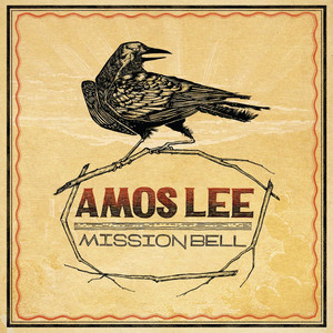 Flower - Amos Lee | Song Album Cover Artwork