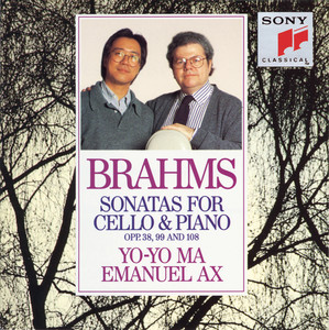Sonata for Violin, Cello, and Piano in E Minor - Brahms | Song Album Cover Artwork