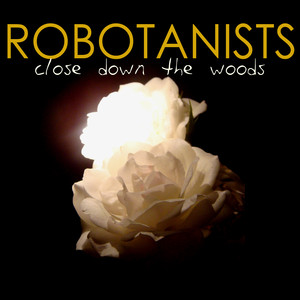 Wait A Minute Here - The Robotanists | Song Album Cover Artwork