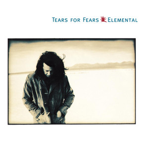 Break It Down Again - Tears for Fears | Song Album Cover Artwork
