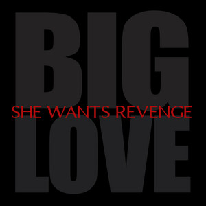 Big Love - She Wants Revenge