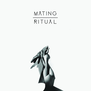 Hum Hum - Mating Ritual | Song Album Cover Artwork