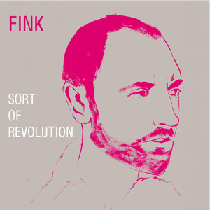 Sort Of Revolution - Fink | Song Album Cover Artwork
