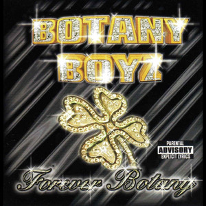 Sittin' On Top Of The World - Botany Boyz | Song Album Cover Artwork