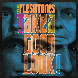 Going Back To School - The Fleshtones | Song Album Cover Artwork