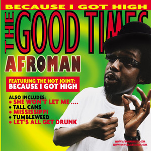Because I Got High - Afroman | Song Album Cover Artwork