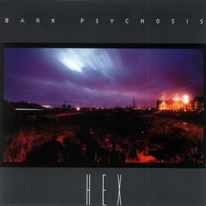 Pendulum Man - Bark Psychosis | Song Album Cover Artwork