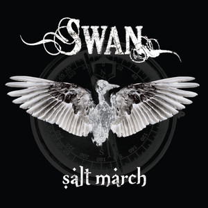 El Camino Swan | Album Cover