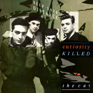 Red Lights - Curiosity Killed The Cat | Song Album Cover Artwork
