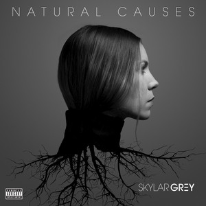 Come up for Air - Skylar Grey | Song Album Cover Artwork