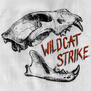 Beer Pressure - Wildcat Strike | Song Album Cover Artwork