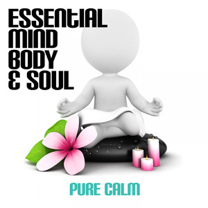 Mind And Soul - Plains | Song Album Cover Artwork