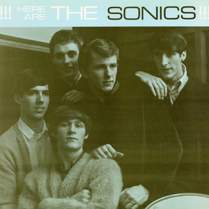 Strychnine - The Sonics | Song Album Cover Artwork
