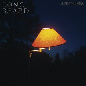 Porch - Long Beard | Song Album Cover Artwork