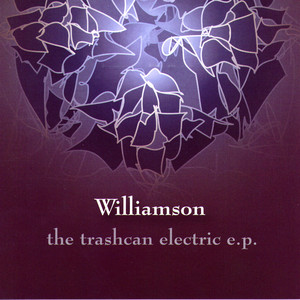 Cool People Make Me Tired - Williamson | Song Album Cover Artwork