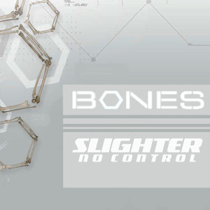 No Control - Slighter | Song Album Cover Artwork