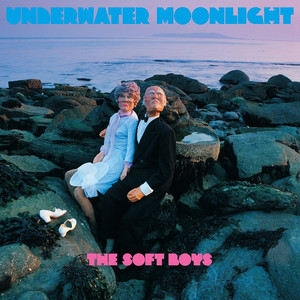 I Got the Hots - The Soft Boys | Song Album Cover Artwork