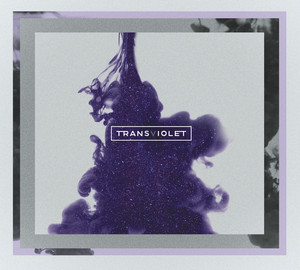 Bloodstream - Transviolet | Song Album Cover Artwork