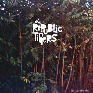 The Infidel - The Republic Tigers | Song Album Cover Artwork
