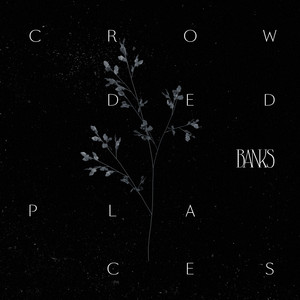 Crowded Places - Banks | Song Album Cover Artwork