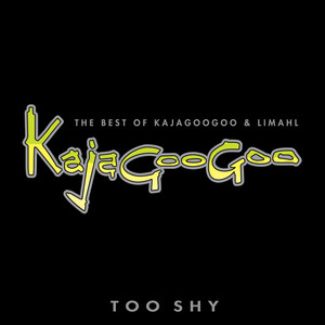 Too Shy Kajagoogoo | Album Cover