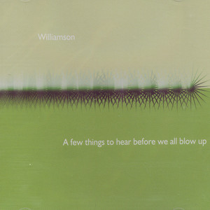 Time You'll Never Get Back Williamson | Album Cover