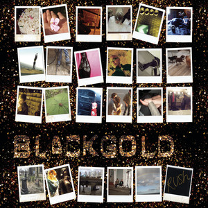 Shine - Black Gold | Song Album Cover Artwork