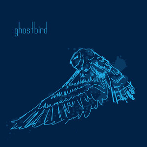 The Drug - Ghostbird | Song Album Cover Artwork